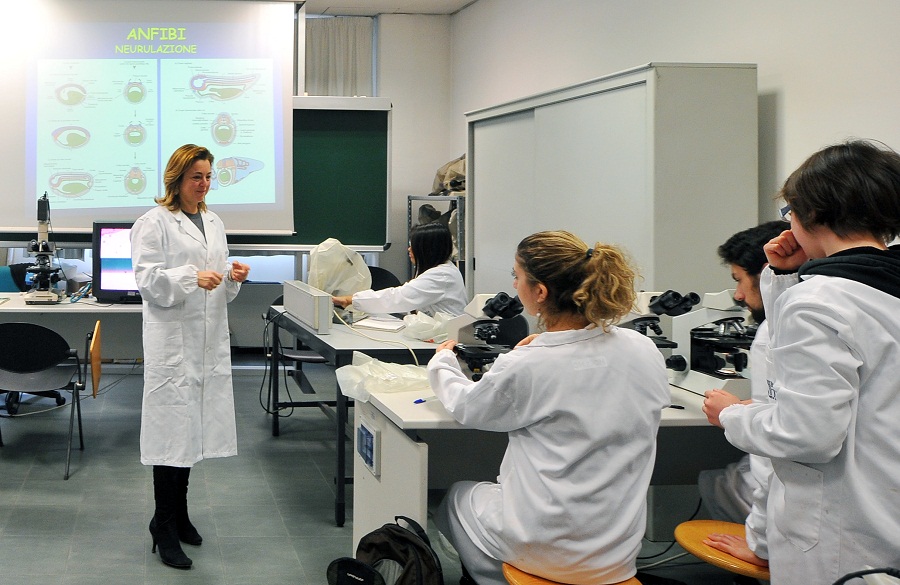 The European Council for Research invests on academic research