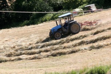 Imprese agricole, in arrivo l’abolizione di Imu e Irap