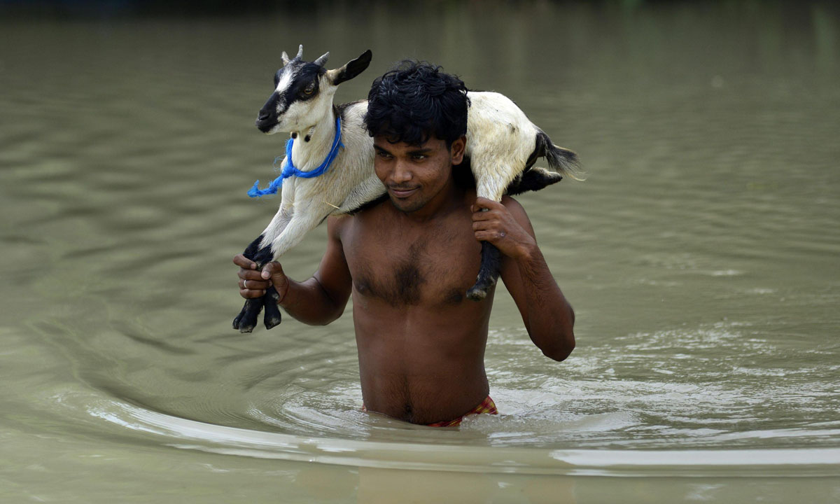 India, foto dall’Assam alluvionato India, foto dall’Assam alluvionato