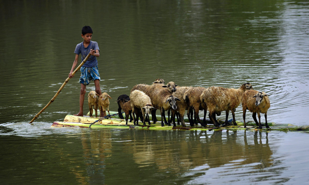 India, foto dall’Assam alluvionato