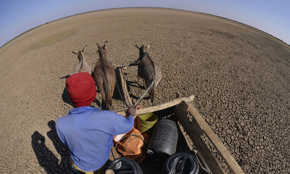 Le foto più belle della settimana – 14/20 agosto
