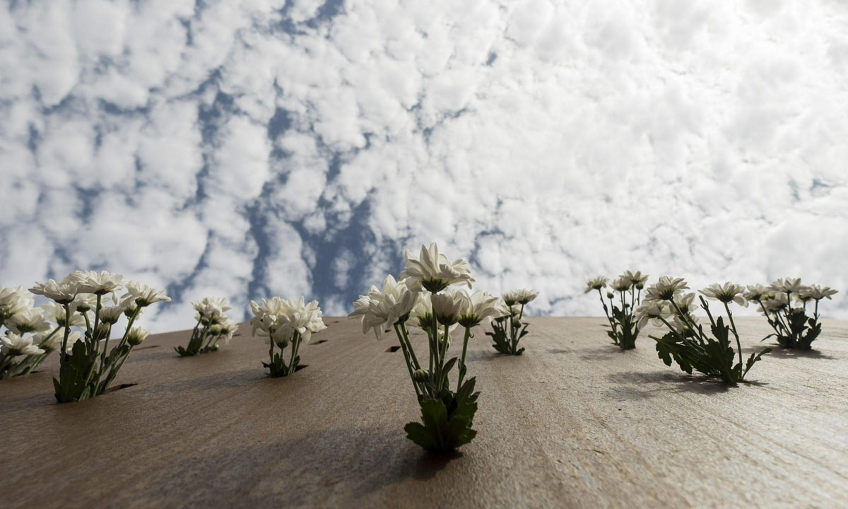 Le foto più belle della settimana – 14/20 agosto