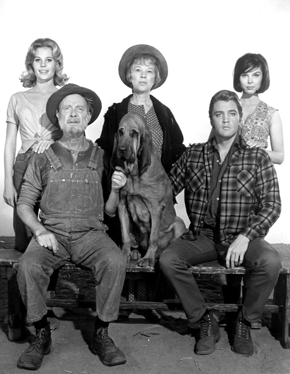 È morta Yvonne Craig, Batgirl in TV negli anni ’60 È morta Yvonne Craig, Batgirl in TV negli anni ’60