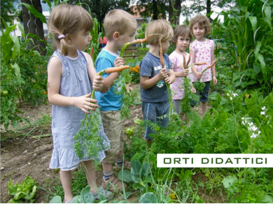 A Mediterranean School as a symbol of sustainability and progress