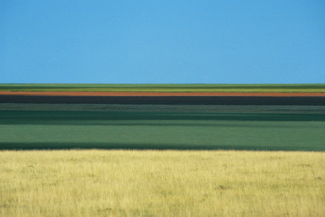 Franco Fontana: Full Color Franco Fontana: Full Color