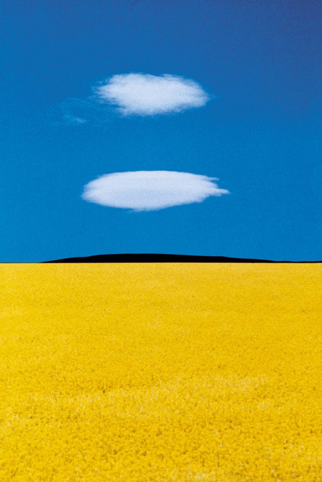 Franco Fontana: Full Color Franco Fontana: Full Color