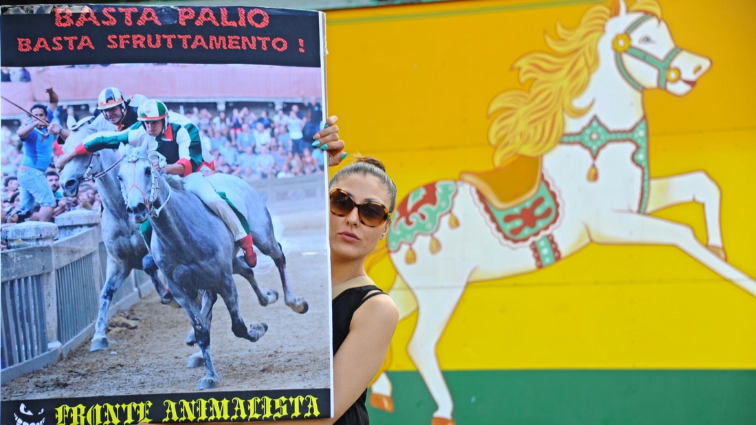 Palio di Siena, vince la Selva Palio di Siena, vince la Selva