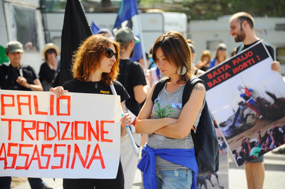 Palio di Siena, vince la Selva Palio di Siena, vince la Selva