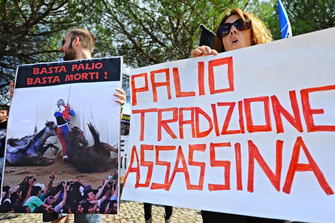 Palio di Siena, vince la Selva Palio di Siena, vince la Selva
