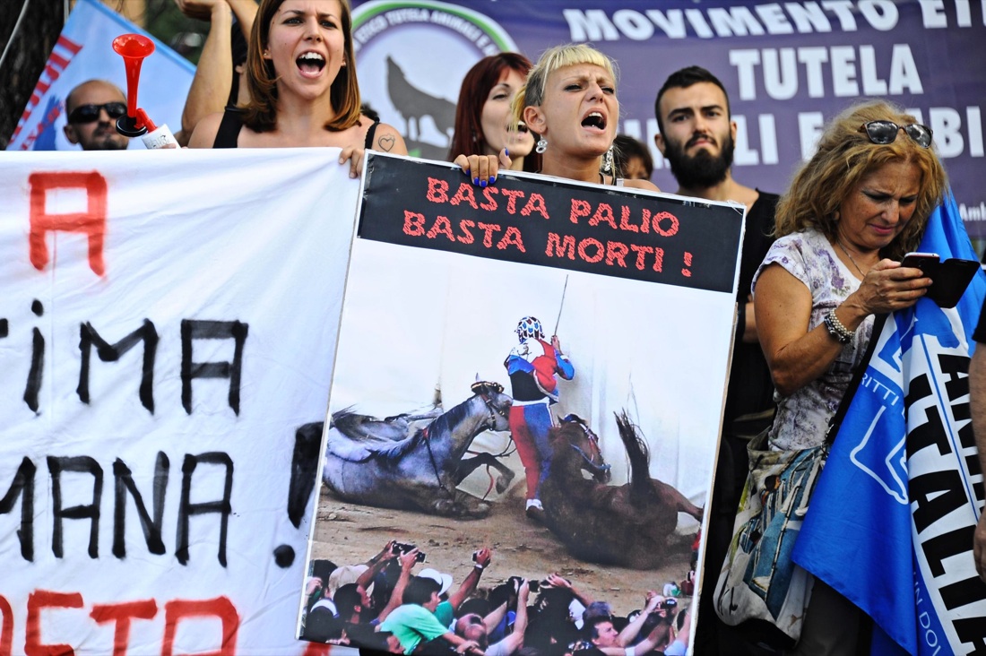 Palio di Siena, vince la Selva Palio di Siena, vince la Selva