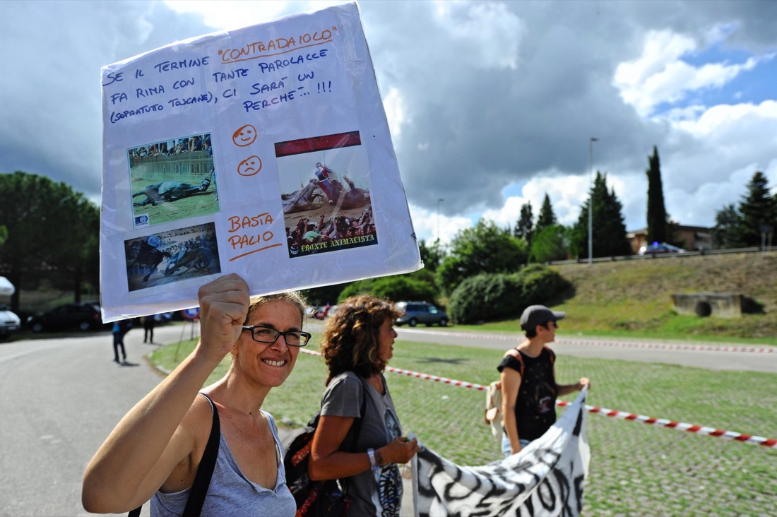 Palio di Siena, vince la Selva Palio di Siena, vince la Selva