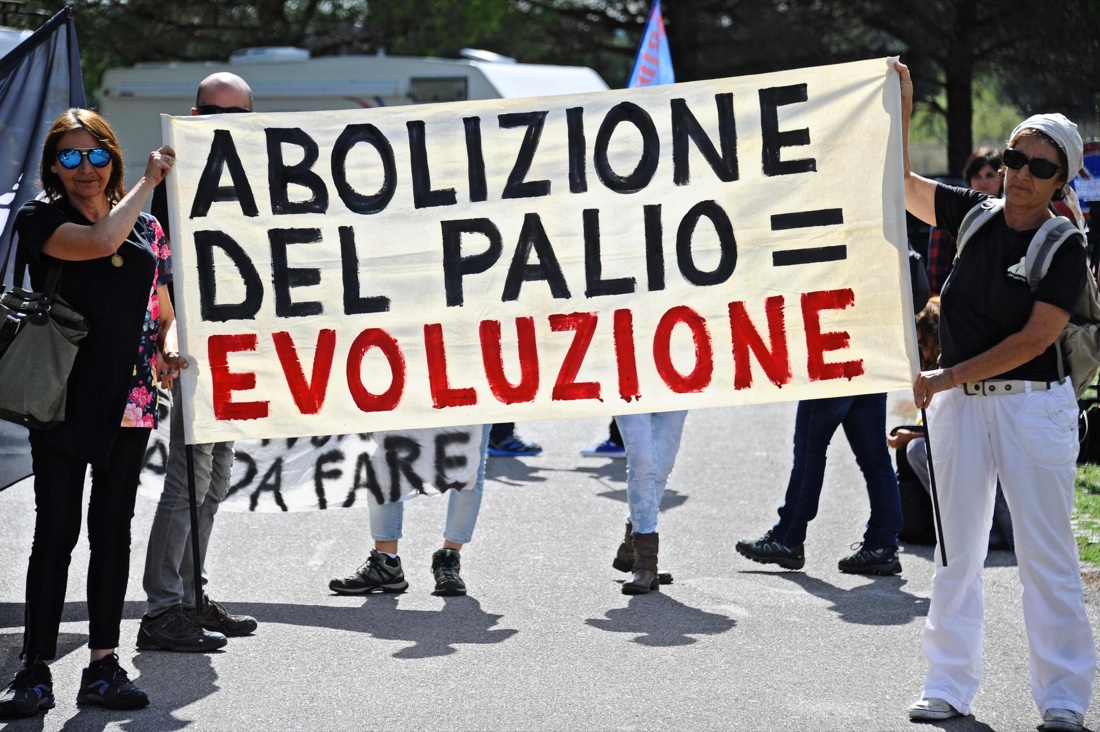Palio di Siena, vince la Selva Palio di Siena, vince la Selva
