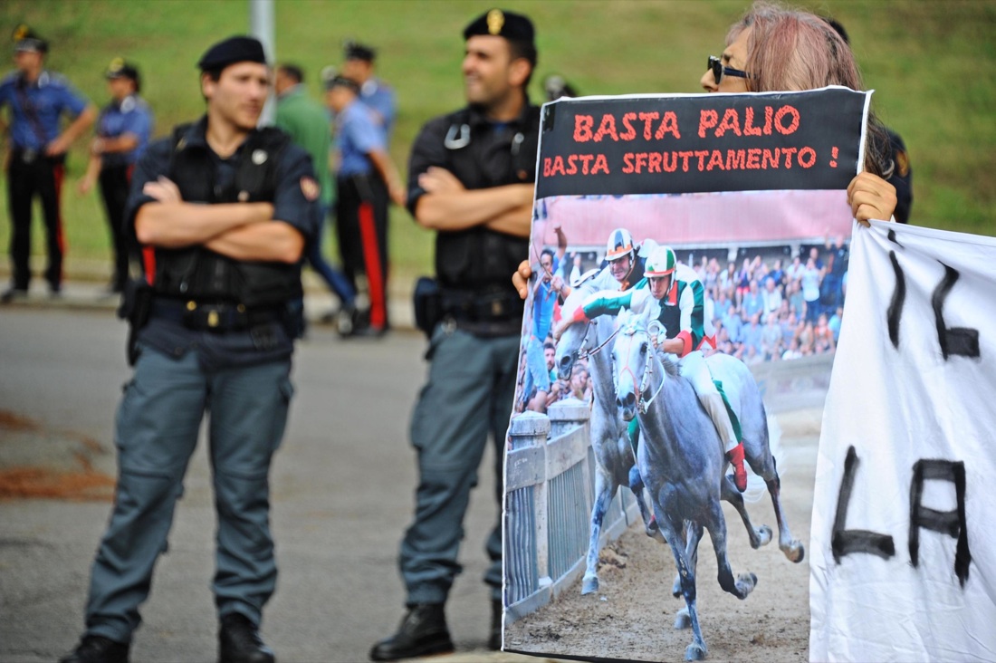 Palio di Siena, vince la Selva Palio di Siena, vince la Selva
