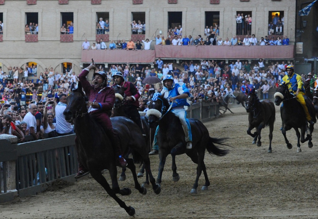 Palio di Siena, vince la Selva Palio di Siena, vince la Selva