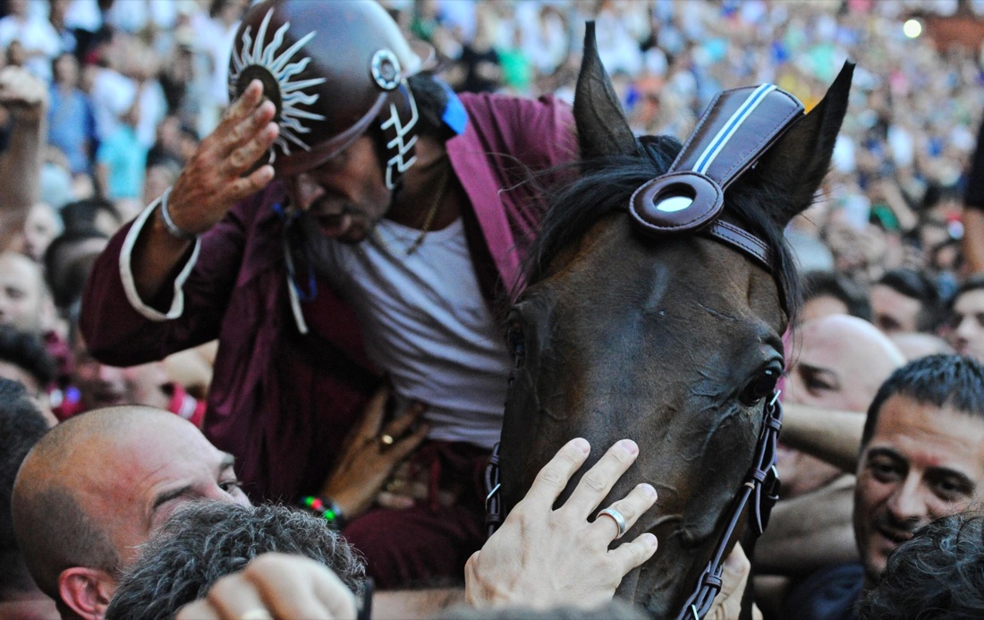 Palio di Siena, vince la Selva Palio di Siena, vince la Selva