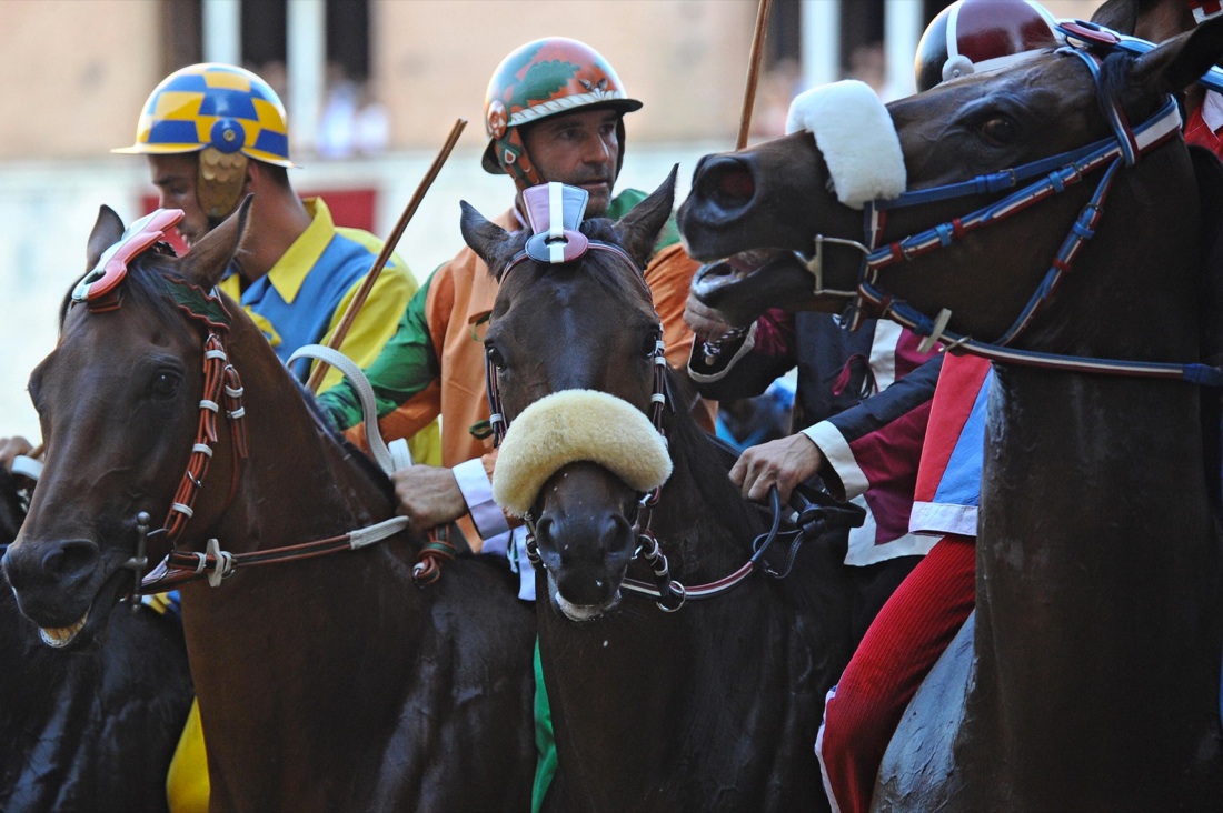 Palio di Siena, vince la Selva Palio di Siena, vince la Selva