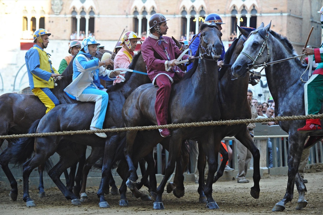 Palio di Siena, vince la Selva Palio di Siena, vince la Selva
