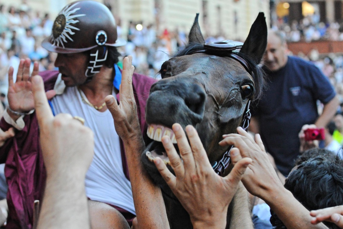 Palio di Siena, vince la Selva Palio di Siena, vince la Selva