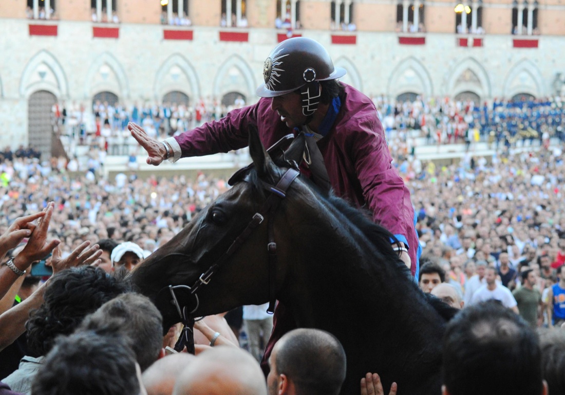 Palio di Siena, vince la Selva Palio di Siena, vince la Selva