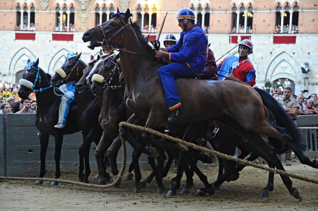 Palio di Siena, vince la Selva Palio di Siena, vince la Selva