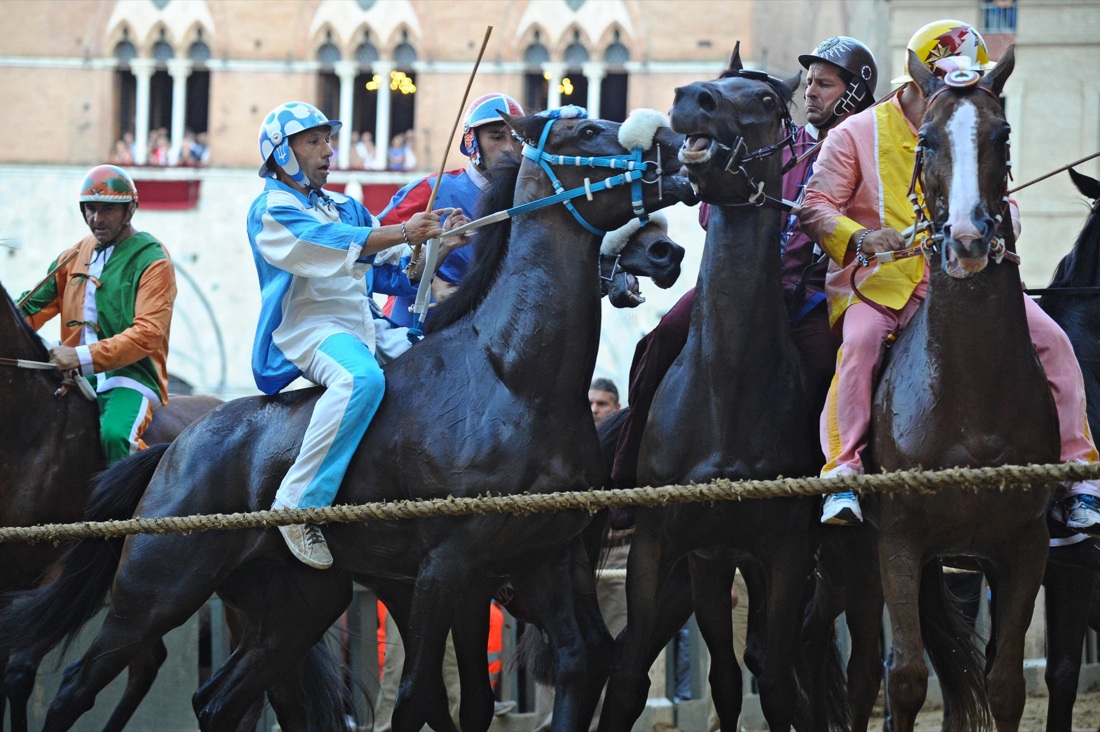 Palio di Siena, vince la Selva Palio di Siena, vince la Selva