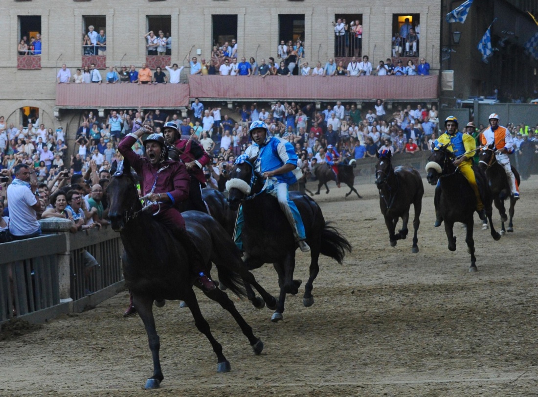 Palio di Siena, vince la Selva Palio di Siena, vince la Selva