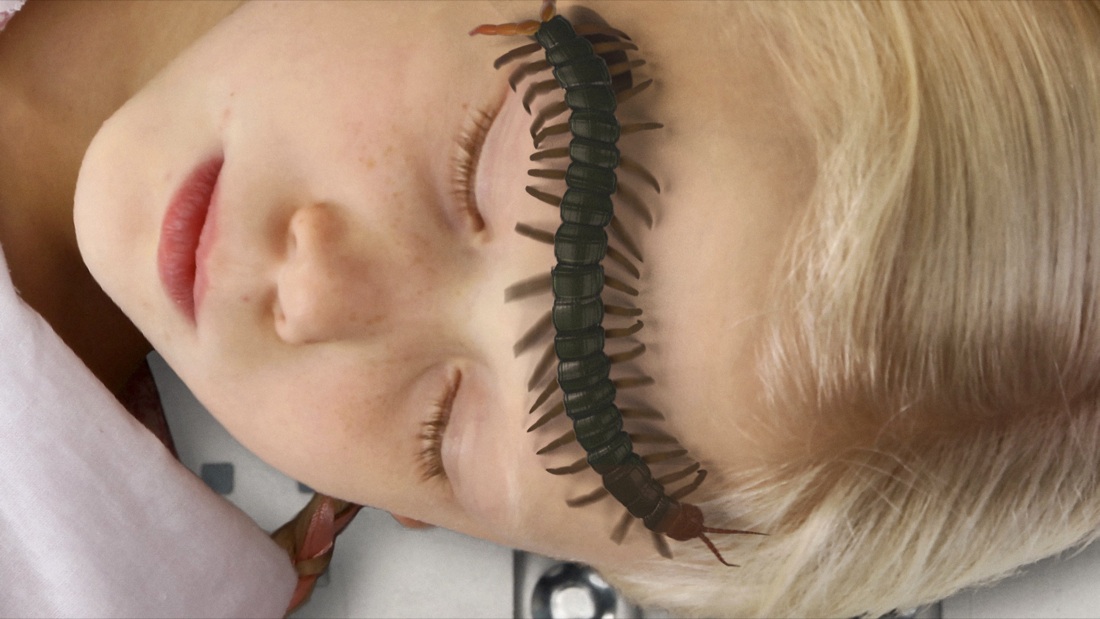 Premio Pino Pascali agli artisti AES+F