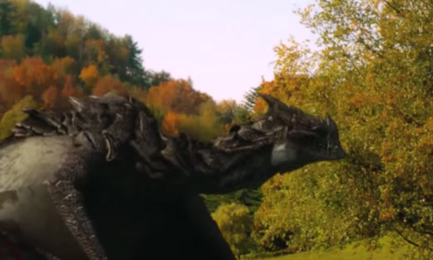 Politico si candida alle elezioni uccidendo draghi