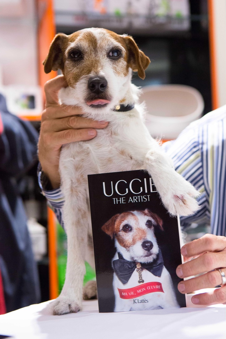 È morto Uggie, il cane di The Artist