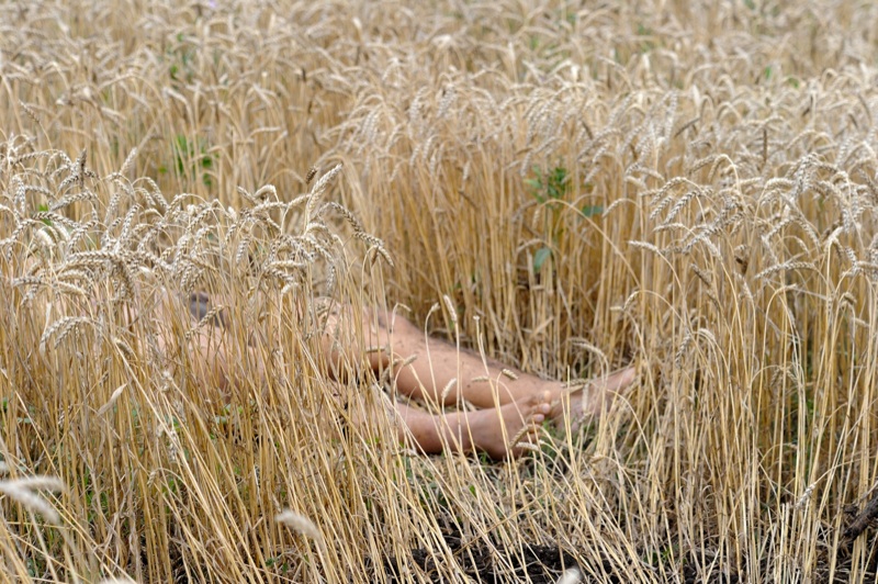 Aereo malese abbattuto in Ucraina: trovati frammenti di un razzo