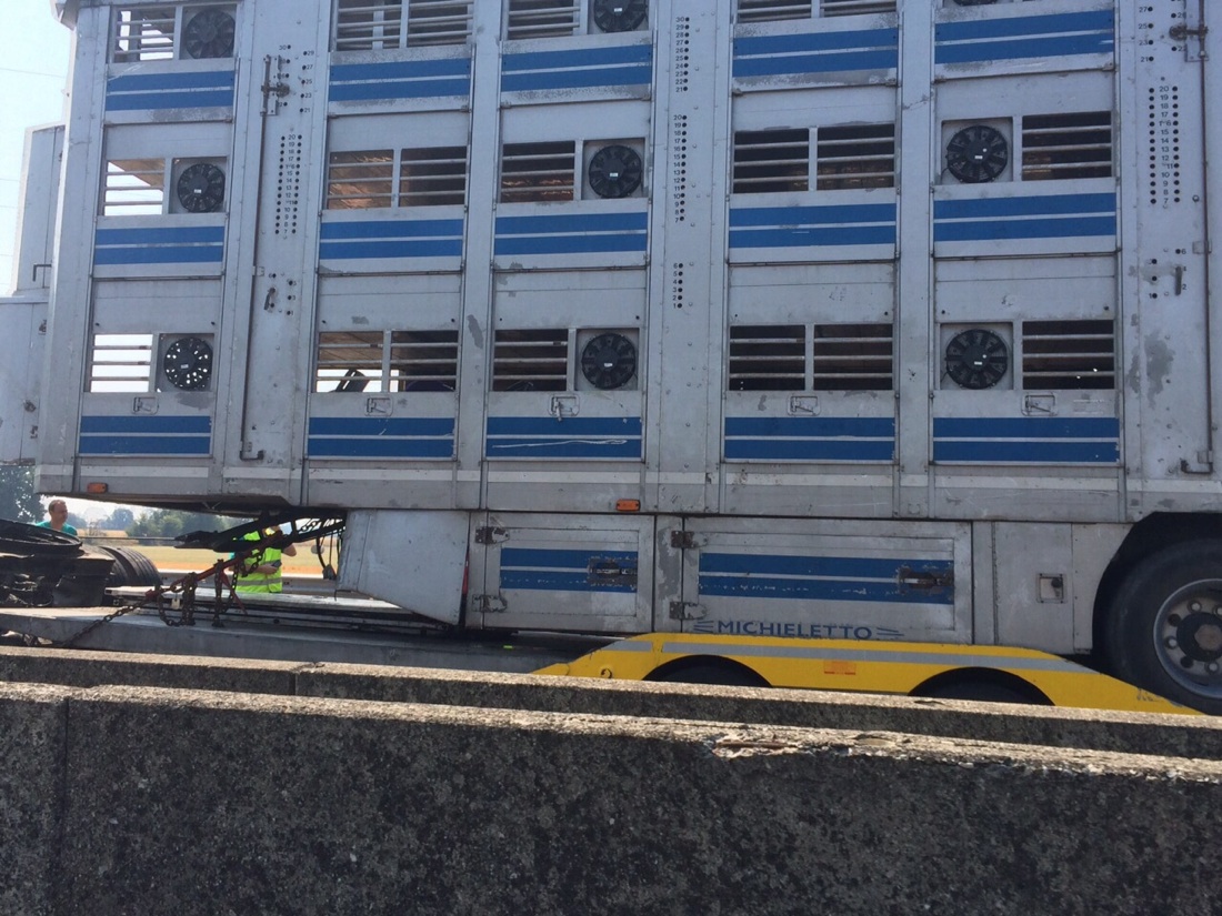 Autostrade: il primo weekend da “bollino nero” Autostrade: il primo weekend da “bollino nero”