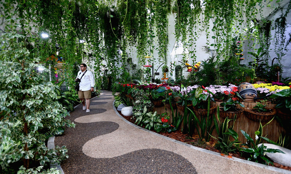 Dubai, il Giardino delle farfalle