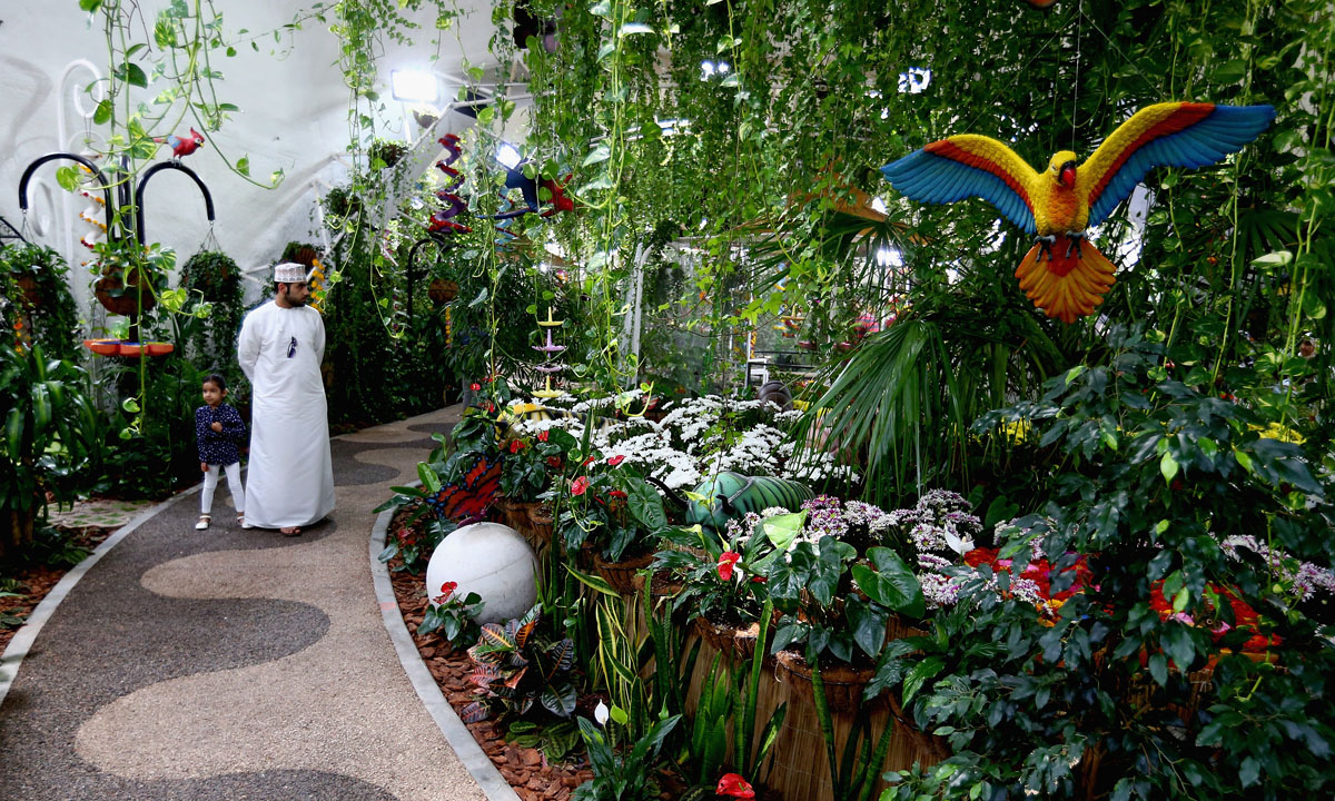Dubai, il Giardino delle farfalle