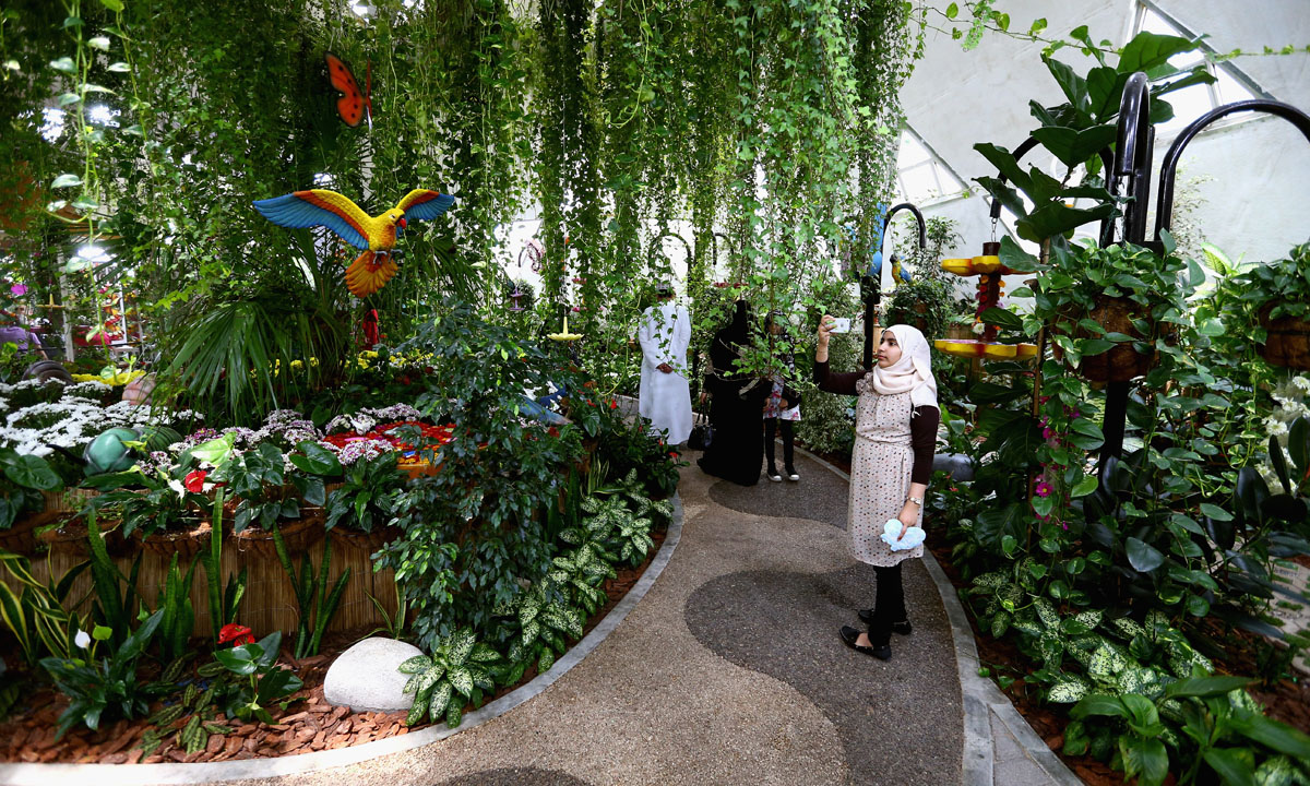 Dubai, il Giardino delle farfalle