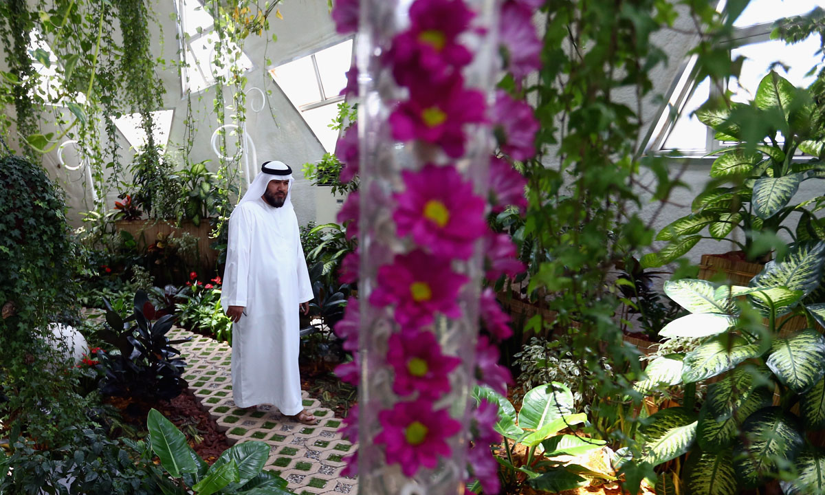 Dubai, il Giardino delle farfalle
