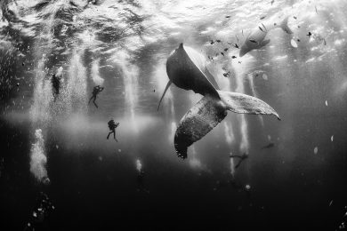National Geographic Traveler 2015, le foto dei vincitori