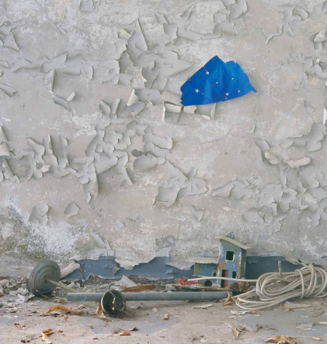 EXPO Belle Arti Lombardia