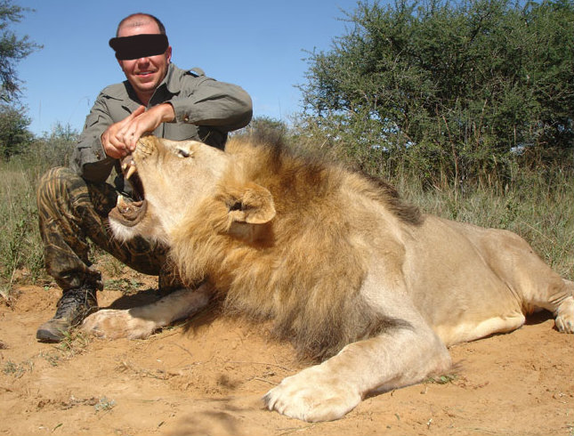 Leoni, elefanti e vite umane: il business milionario della caccia illegale Leoni, elefanti e vite umane: il business milionario della caccia illegale