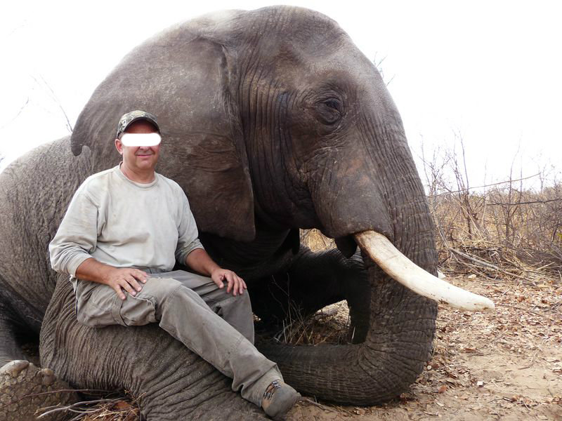 Leoni, elefanti e vite umane: il business milionario della caccia illegale Leoni, elefanti e vite umane: il business milionario della caccia illegale