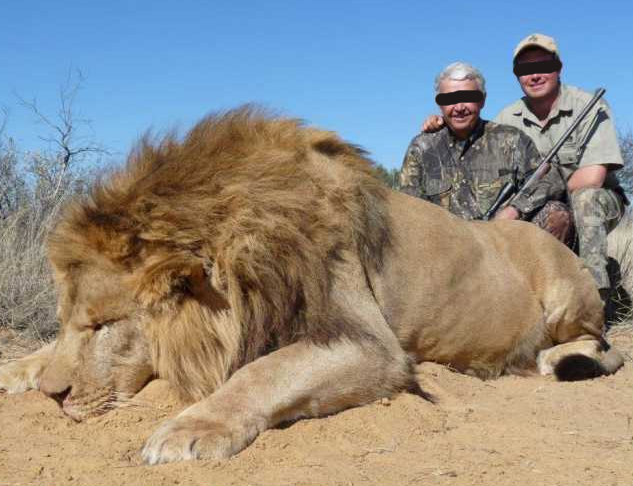 Leoni, elefanti e vite umane: il business milionario della caccia illegale Leoni, elefanti e vite umane: il business milionario della caccia illegale