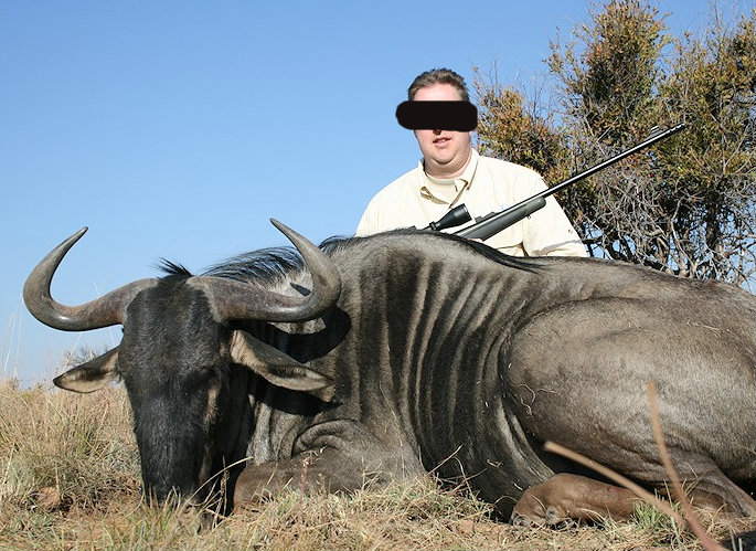 Leoni, elefanti e vite umane: il business milionario della caccia illegale Leoni, elefanti e vite umane: il business milionario della caccia illegale