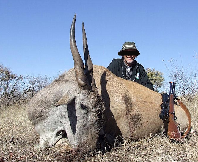Leoni, elefanti e vite umane: il business milionario della caccia illegale Leoni, elefanti e vite umane: il business milionario della caccia illegale