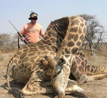 Leoni, elefanti e vite umane: il business milionario della caccia illegale Leoni, elefanti e vite umane: il business milionario della caccia illegale