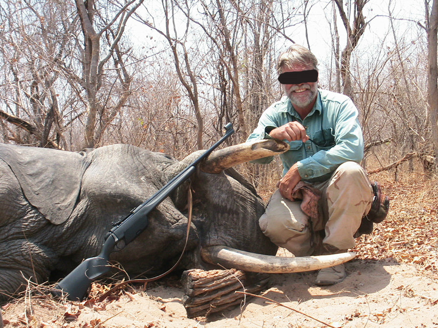 Leoni, elefanti e vite umane: il business milionario della caccia illegale Leoni, elefanti e vite umane: il business milionario della caccia illegale