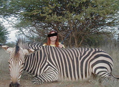 Leoni, elefanti e vite umane: il business milionario della caccia illegale Leoni, elefanti e vite umane: il business milionario della caccia illegale