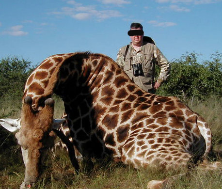 Leoni, elefanti e vite umane: il business milionario della caccia illegale Leoni, elefanti e vite umane: il business milionario della caccia illegale