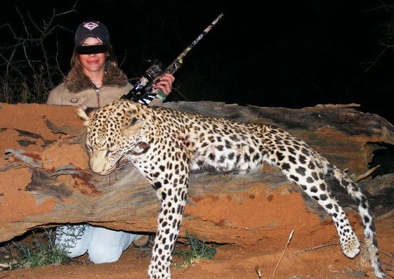 Leoni, elefanti e vite umane: il business milionario della caccia illegale Leoni, elefanti e vite umane: il business milionario della caccia illegale