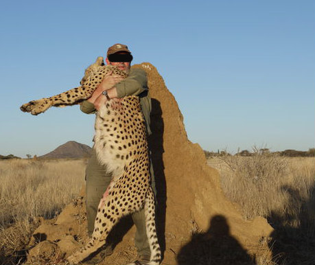 Leoni, elefanti e vite umane: il business milionario della caccia illegale Leoni, elefanti e vite umane: il business milionario della caccia illegale