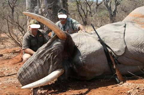 Leoni, elefanti e vite umane: il business milionario della caccia illegale Leoni, elefanti e vite umane: il business milionario della caccia illegale