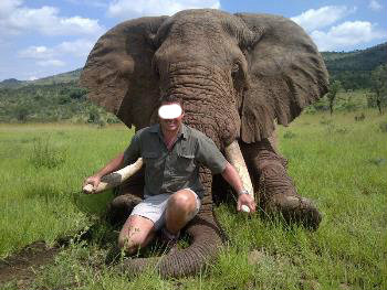 Leoni, elefanti e vite umane: il business milionario della caccia illegale Leoni, elefanti e vite umane: il business milionario della caccia illegale